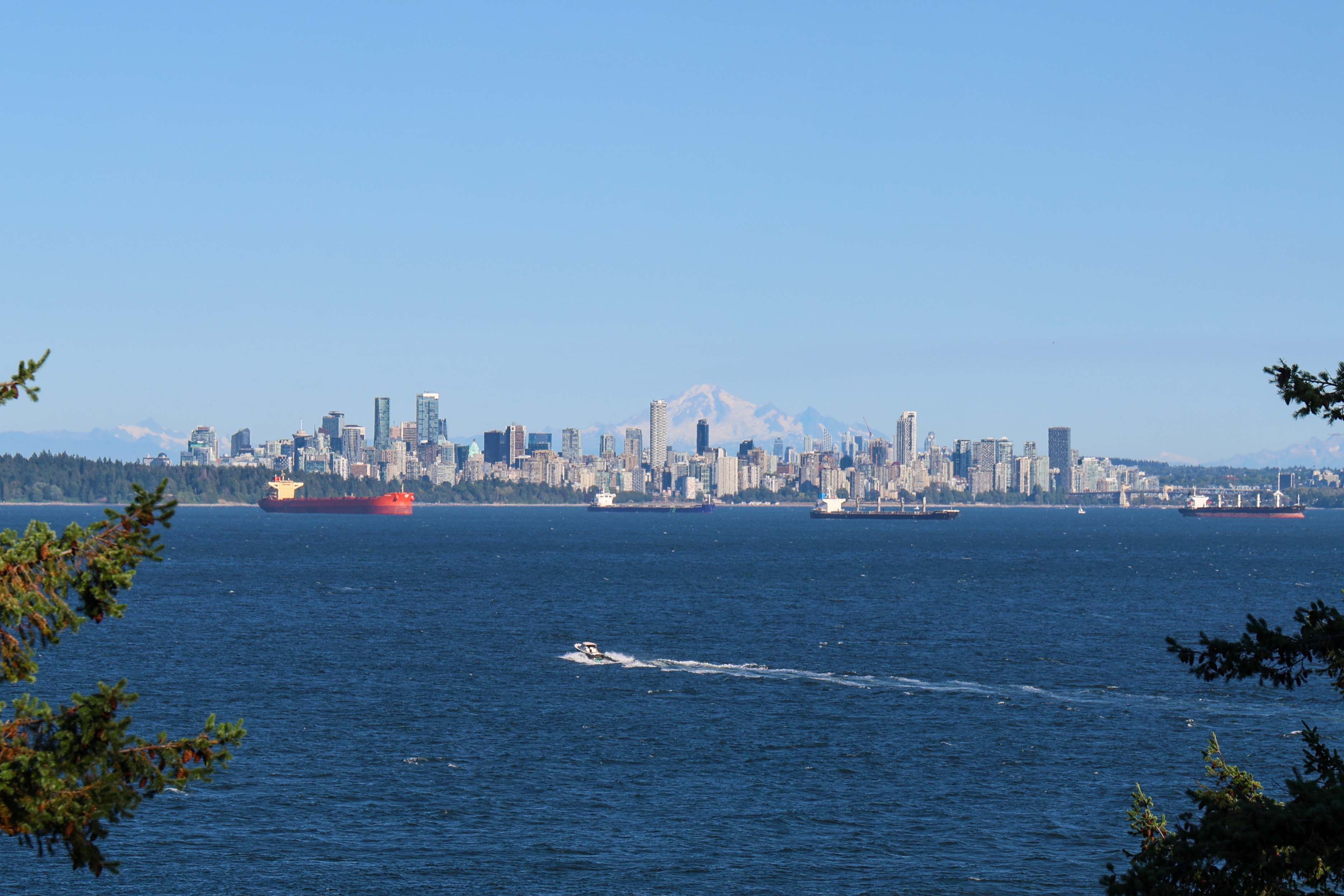 student studying background