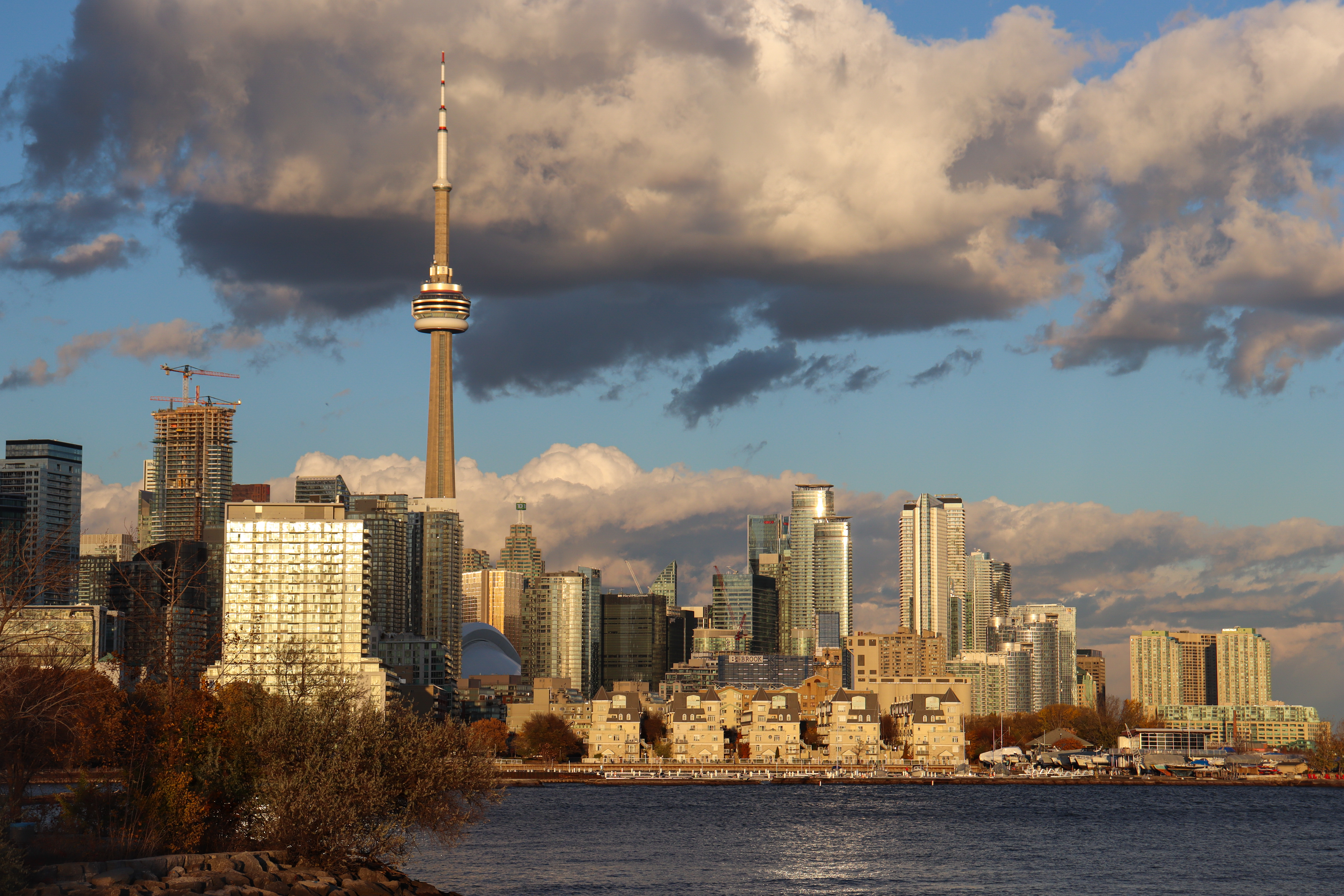 Ivyelite Hero Background