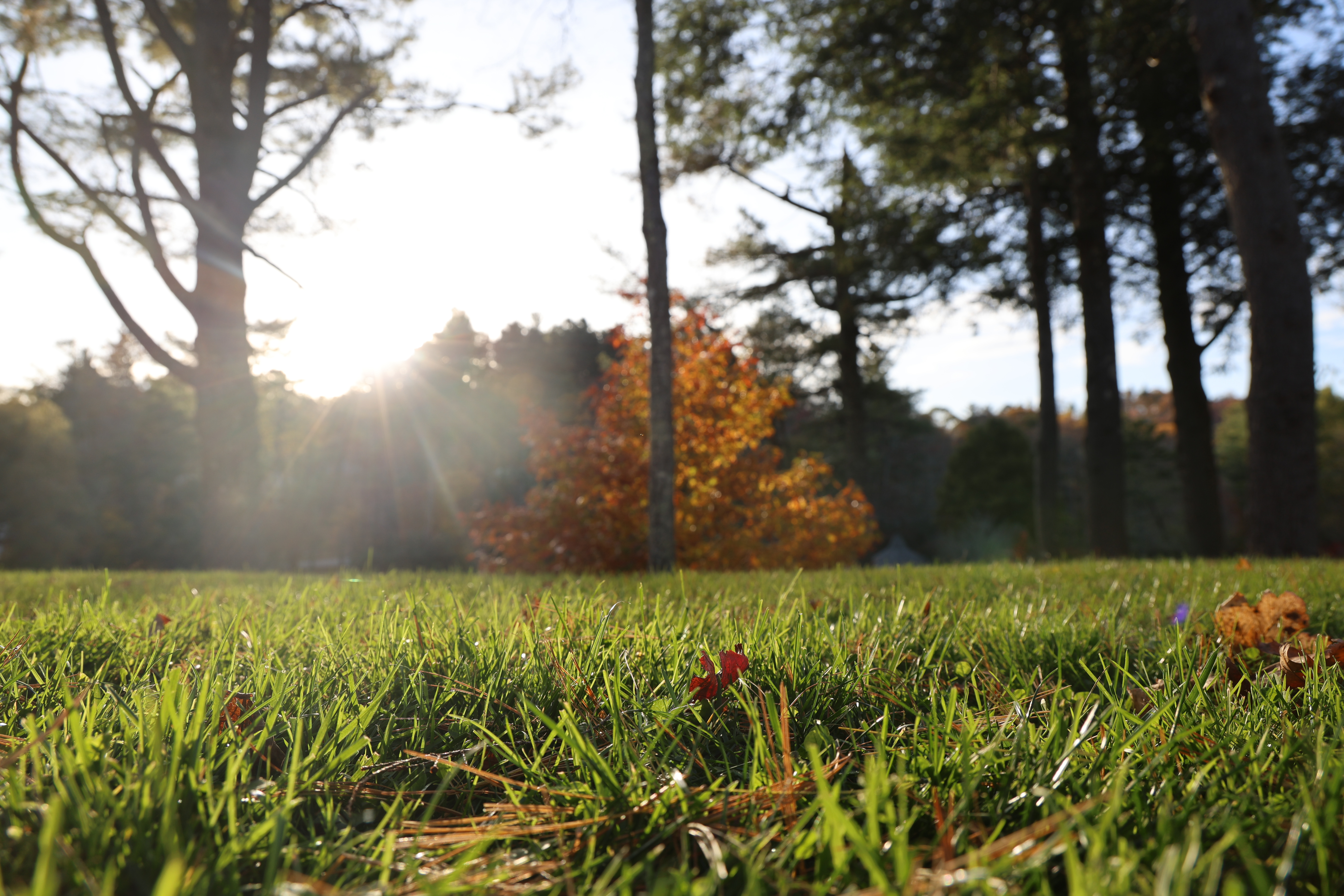 Student consultation background