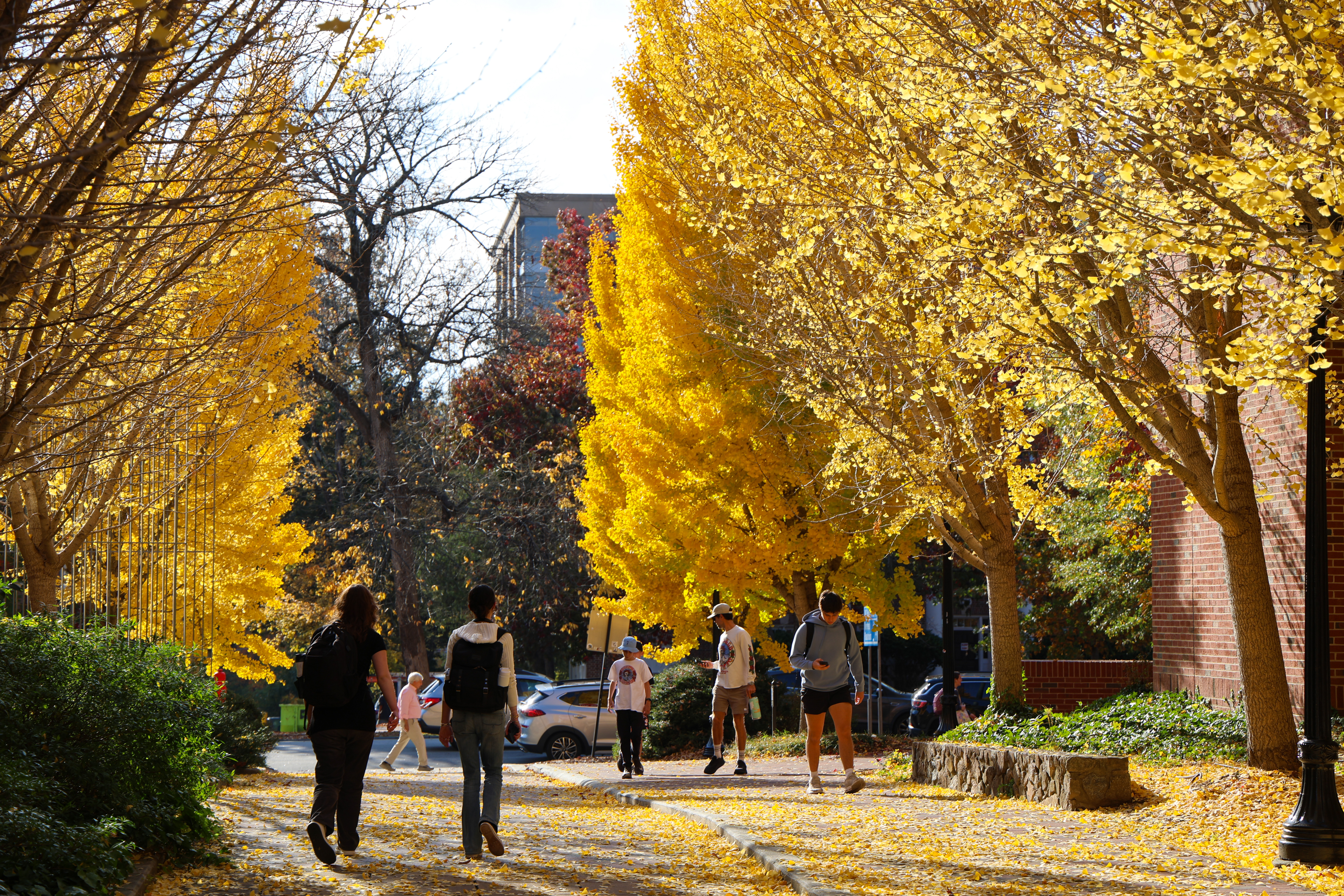 student studying background
