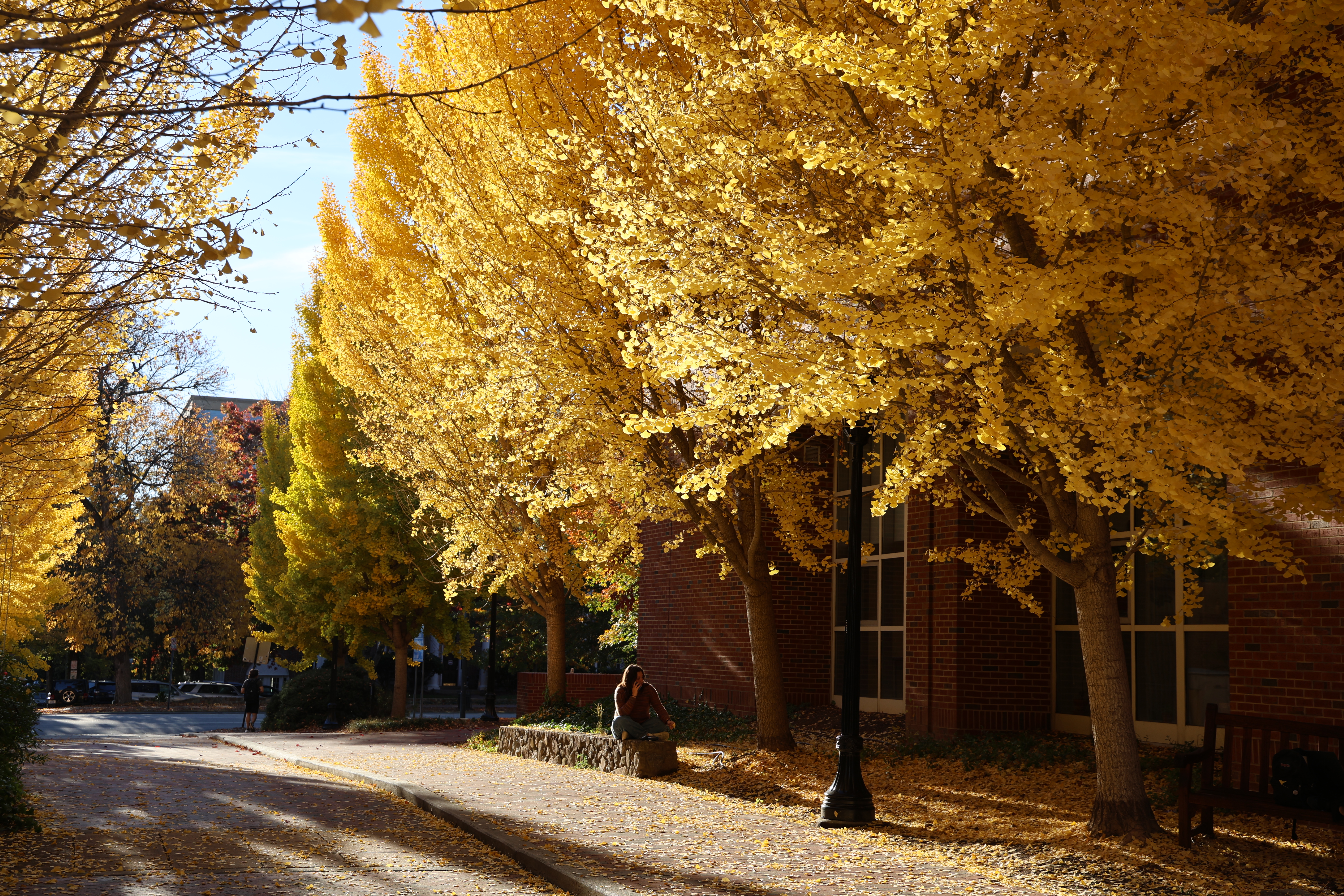 Haneshall Background