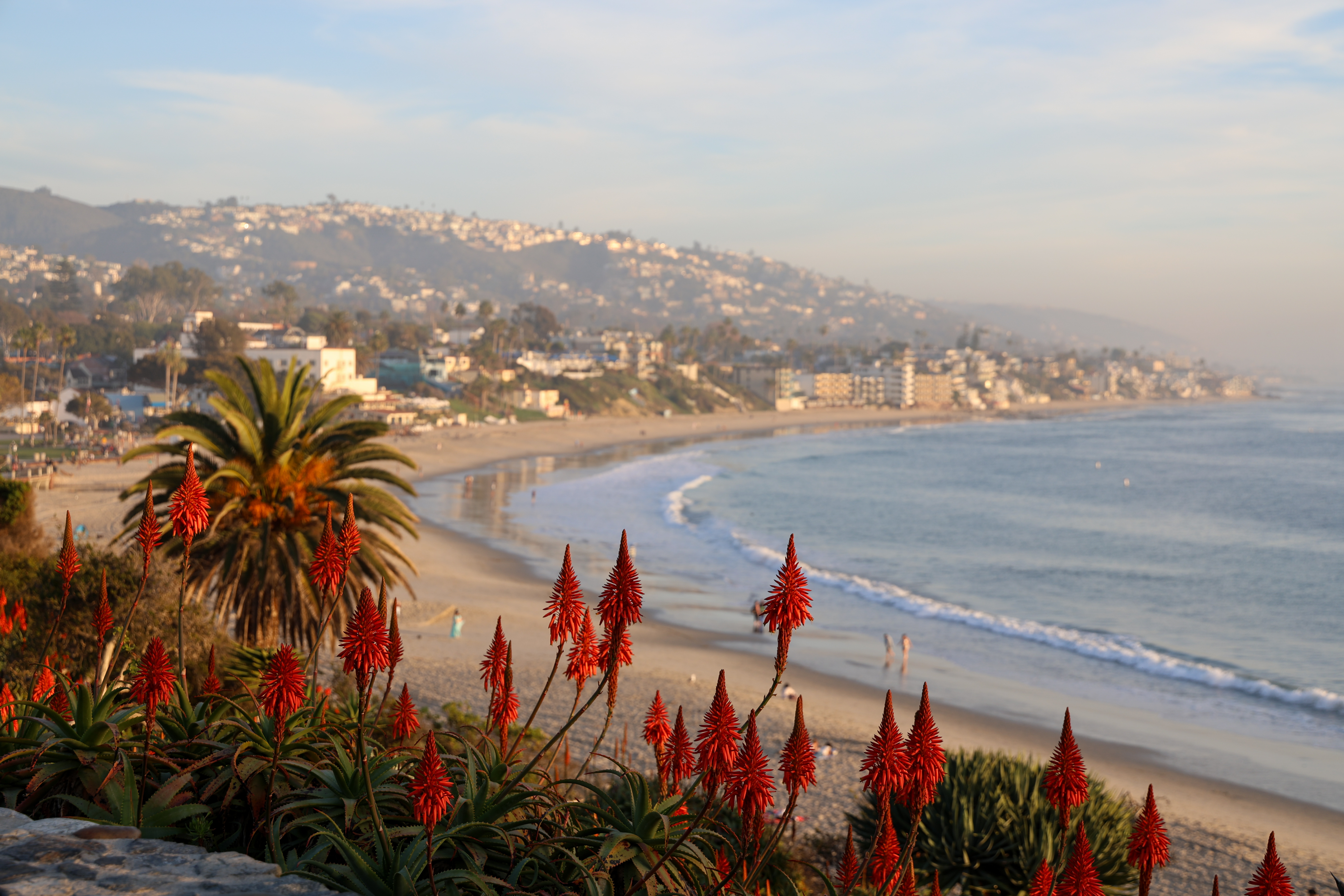 laguna Hero Background